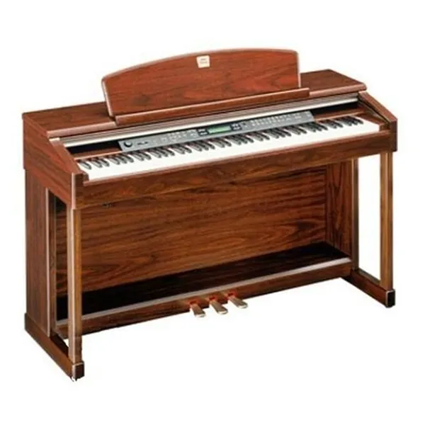 Music City – Tổng Kho Piano, Guitar, Organ | Dịch Vụ Giáo Dục Âm Nhạc
