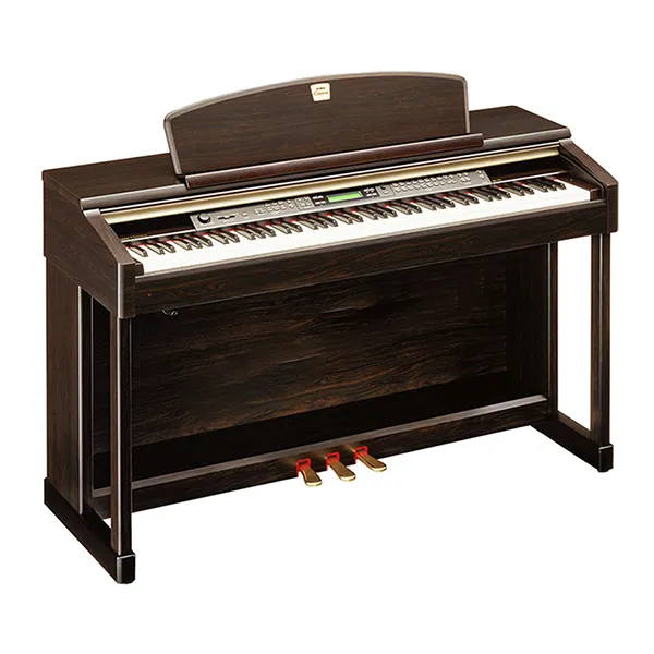 Music City – Tổng Kho Piano, Guitar, Organ | Dịch Vụ Giáo Dục Âm Nhạc