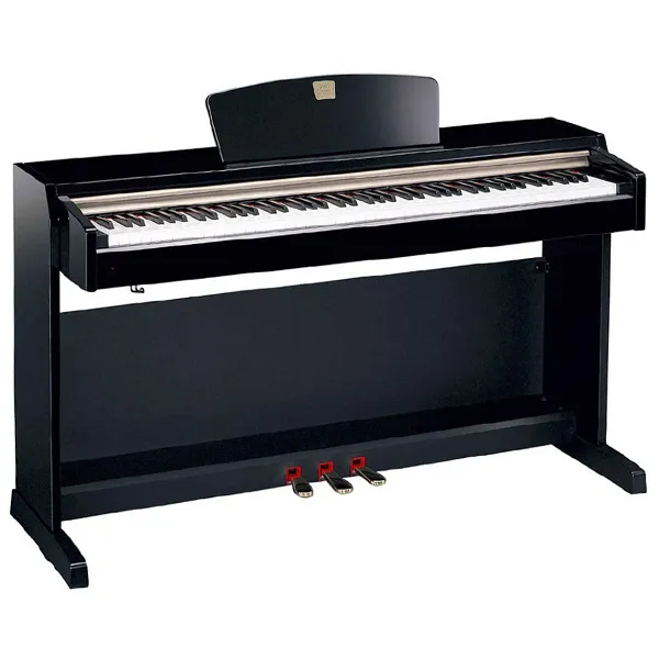 Music City – Tổng Kho Piano, Guitar, Organ | Dịch Vụ Giáo Dục Âm Nhạc