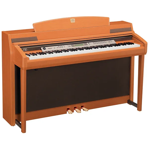 Music City – Tổng Kho Piano, Guitar, Organ | Dịch Vụ Giáo Dục Âm Nhạc