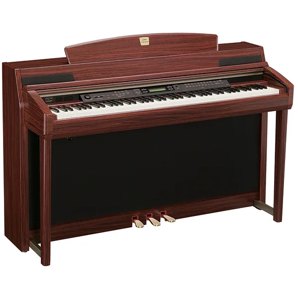 Music City – Tổng Kho Piano, Guitar, Organ | Dịch Vụ Giáo Dục Âm Nhạc