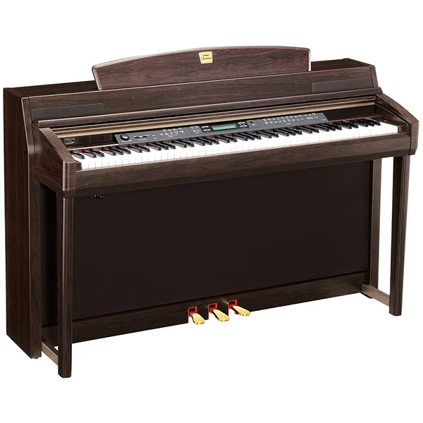 Music City – Tổng Kho Piano, Guitar, Organ | Dịch Vụ Giáo Dục Âm Nhạc