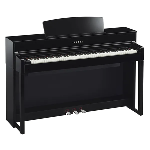 Music City – Tổng Kho Piano, Guitar, Organ | Dịch Vụ Giáo Dục Âm Nhạc