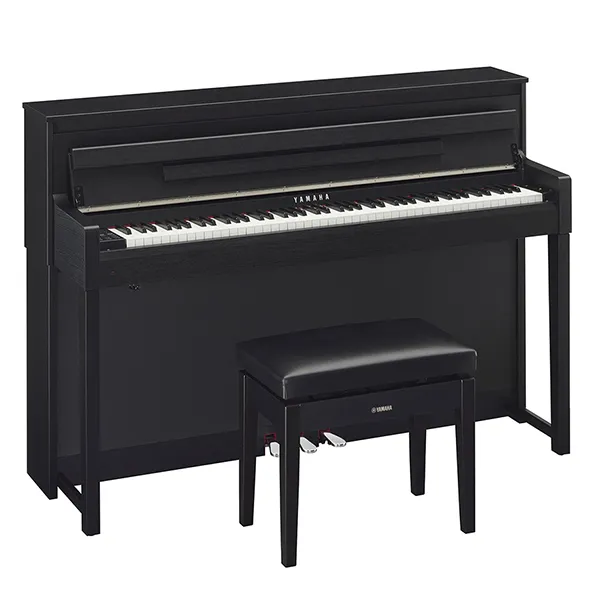 Music City – Tổng Kho Piano, Guitar, Organ | Dịch Vụ Giáo Dục Âm Nhạc