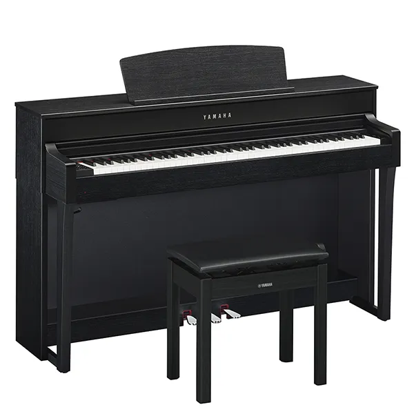 Music City – Tổng Kho Piano, Guitar, Organ | Dịch Vụ Giáo Dục Âm Nhạc