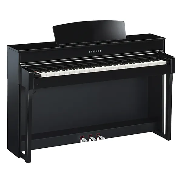 Music City – Tổng Kho Piano, Guitar, Organ | Dịch Vụ Giáo Dục Âm Nhạc