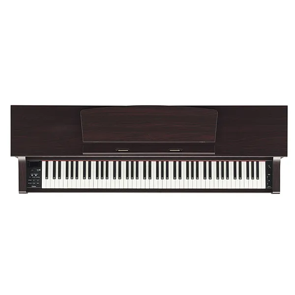 Music City – Tổng Kho Piano, Guitar, Organ | Dịch Vụ Giáo Dục Âm Nhạc