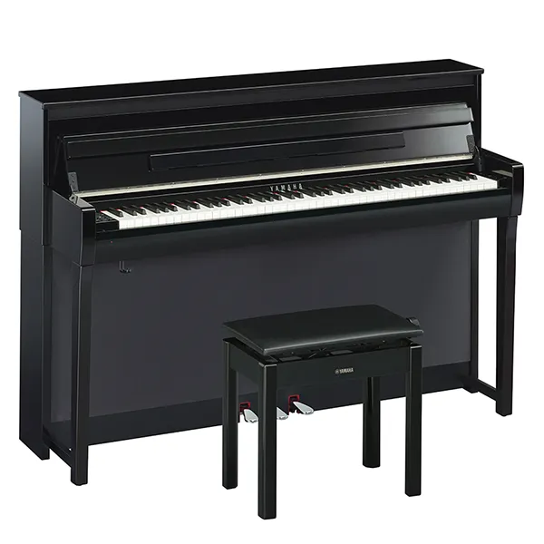 Music City – Tổng Kho Piano, Guitar, Organ | Dịch Vụ Giáo Dục Âm Nhạc