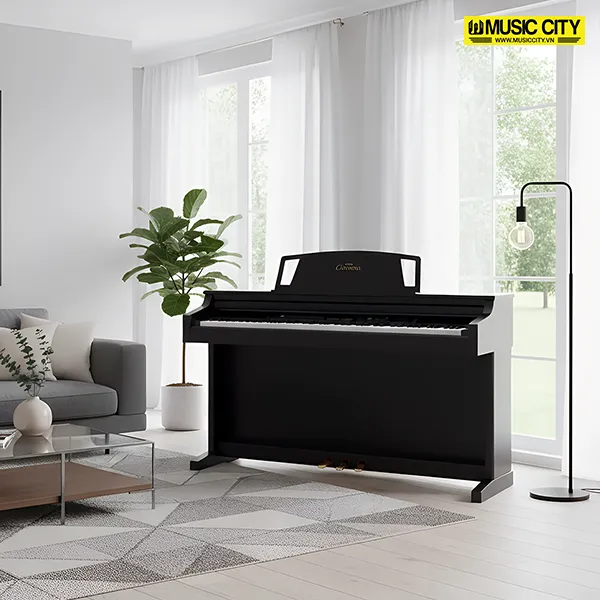 Music City – Tổng Kho Piano, Guitar, Organ | Dịch Vụ Giáo Dục Âm Nhạc