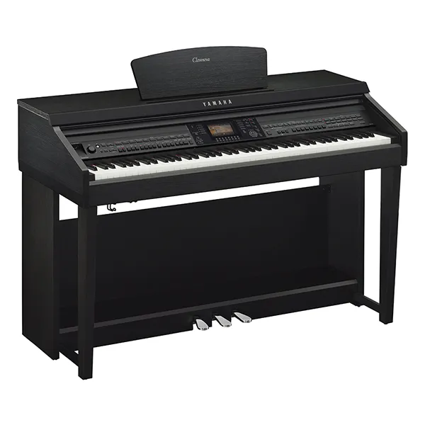 Music City – Tổng Kho Piano, Guitar, Organ | Dịch Vụ Giáo Dục Âm Nhạc