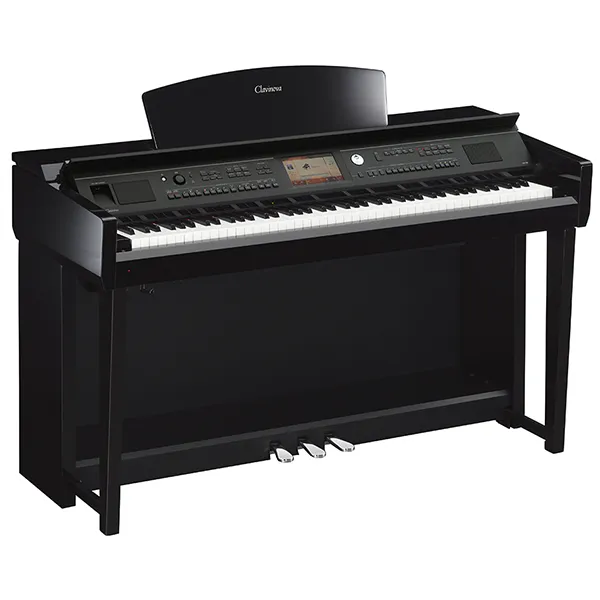 Music City – Tổng Kho Piano, Guitar, Organ | Dịch Vụ Giáo Dục Âm Nhạc