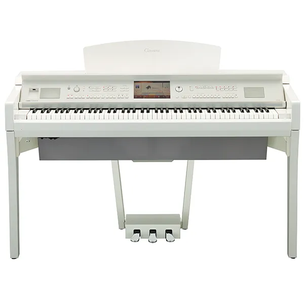 Music City – Tổng Kho Piano, Guitar, Organ | Dịch Vụ Giáo Dục Âm Nhạc