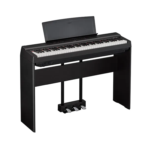 Music City – Tổng Kho Piano, Guitar, Organ | Dịch Vụ Giáo Dục Âm Nhạc