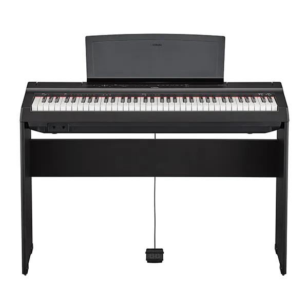 Music City – Tổng Kho Piano, Guitar, Organ | Dịch Vụ Giáo Dục Âm Nhạc