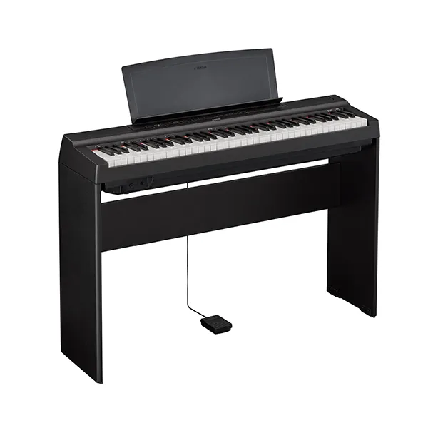 Music City – Tổng Kho Piano, Guitar, Organ | Dịch Vụ Giáo Dục Âm Nhạc