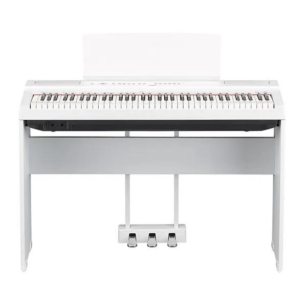 Music City – Tổng Kho Piano, Guitar, Organ | Dịch Vụ Giáo Dục Âm Nhạc