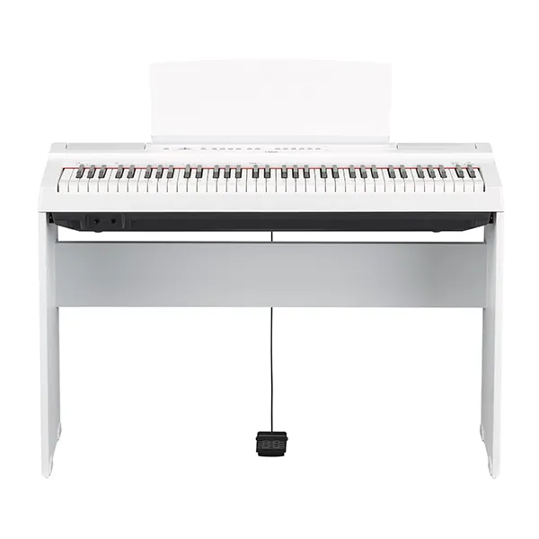 Music City – Tổng Kho Piano, Guitar, Organ | Dịch Vụ Giáo Dục Âm Nhạc