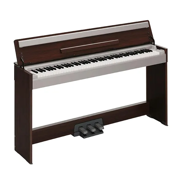 Music City – Tổng Kho Piano, Guitar, Organ | Dịch Vụ Giáo Dục Âm Nhạc