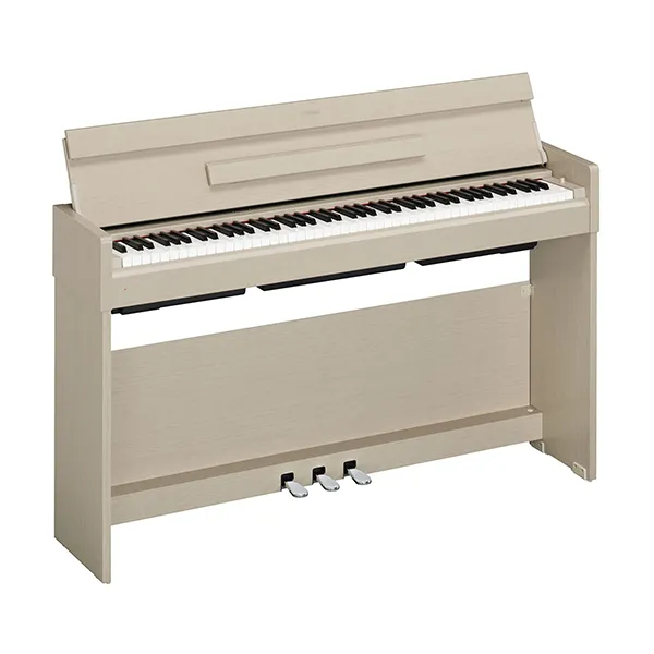 Music City – Tổng Kho Piano, Guitar, Organ | Dịch Vụ Giáo Dục Âm Nhạc