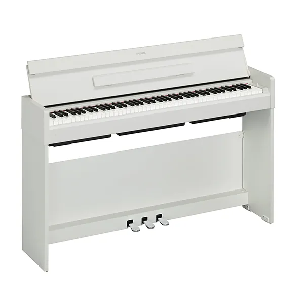 Music City – Tổng Kho Piano, Guitar, Organ | Dịch Vụ Giáo Dục Âm Nhạc