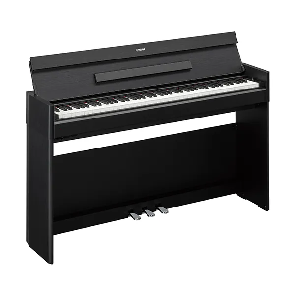 Music City – Tổng Kho Piano, Guitar, Organ | Dịch Vụ Giáo Dục Âm Nhạc