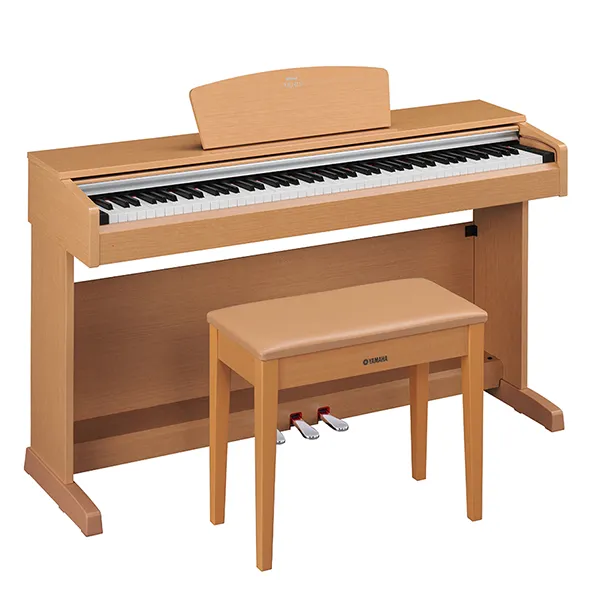 Music City – Tổng Kho Piano, Guitar, Organ | Dịch Vụ Giáo Dục Âm Nhạc