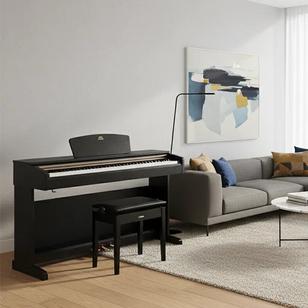 Music City – Tổng Kho Piano, Guitar, Organ | Dịch Vụ Giáo Dục Âm Nhạc