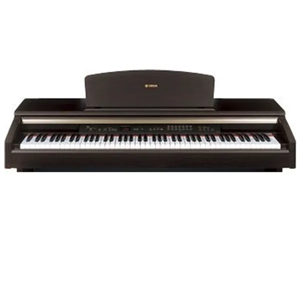 Music City – Tổng Kho Piano, Guitar, Organ | Dịch Vụ Giáo Dục Âm Nhạc