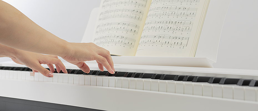 Music City – Tổng Kho Piano, Guitar, Organ | Dịch Vụ Giáo Dục Âm Nhạc