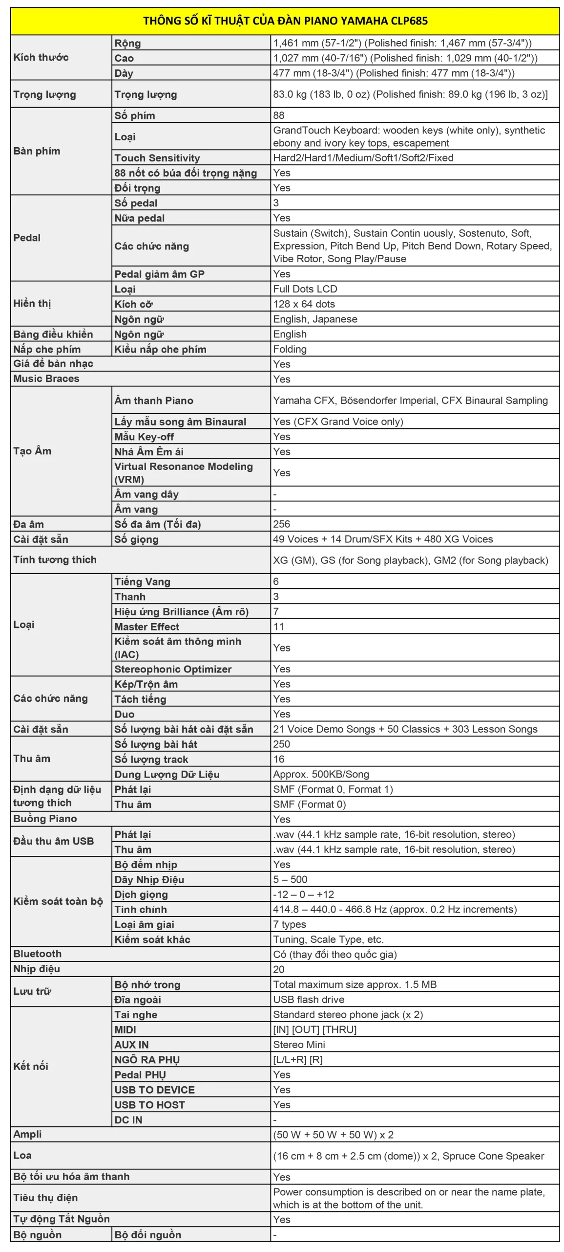 Music City – Tổng Kho Piano, Guitar, Organ | Dịch Vụ Giáo Dục Âm Nhạc