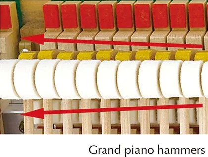 Music City – Tổng Kho Piano, Guitar, Organ | Dịch Vụ Giáo Dục Âm Nhạc
