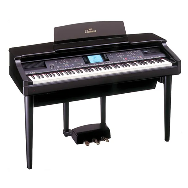 Music City – Tổng Kho Piano, Guitar, Organ | Dịch Vụ Giáo Dục Âm Nhạc