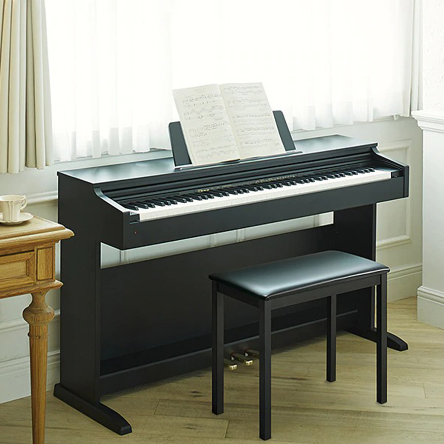 Music City – Tổng Kho Piano, Guitar, Organ | Dịch Vụ Giáo Dục Âm Nhạc