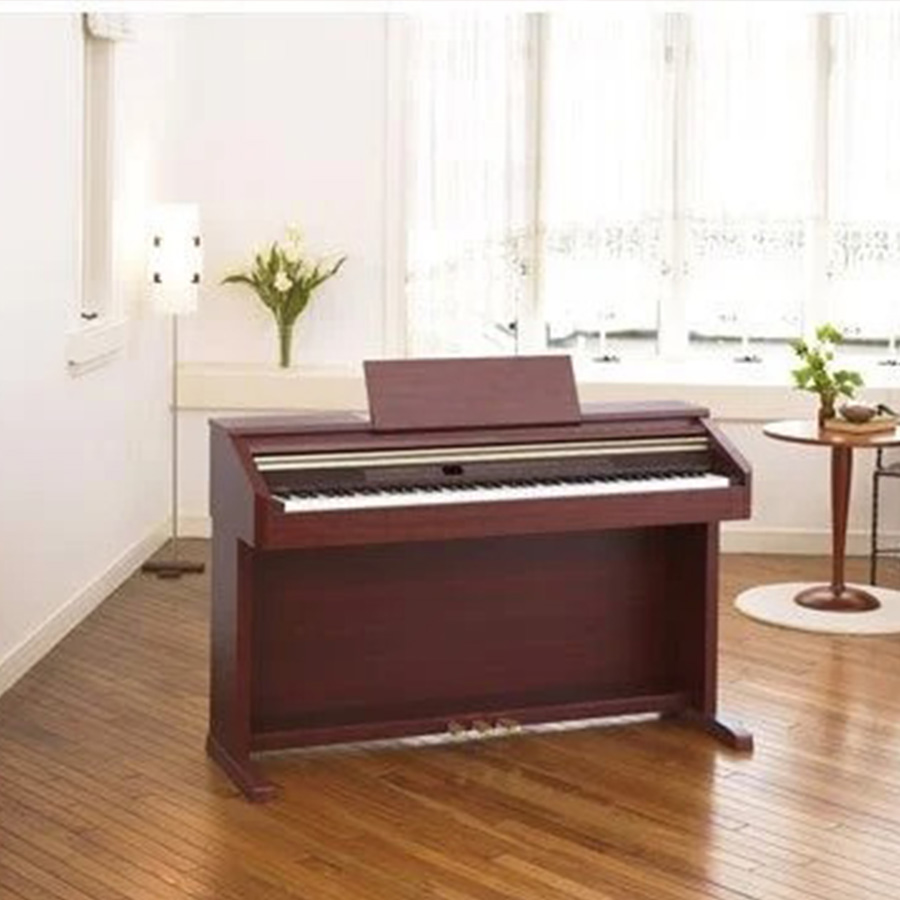Music City – Tổng Kho Piano, Guitar, Organ | Dịch Vụ Giáo Dục Âm Nhạc