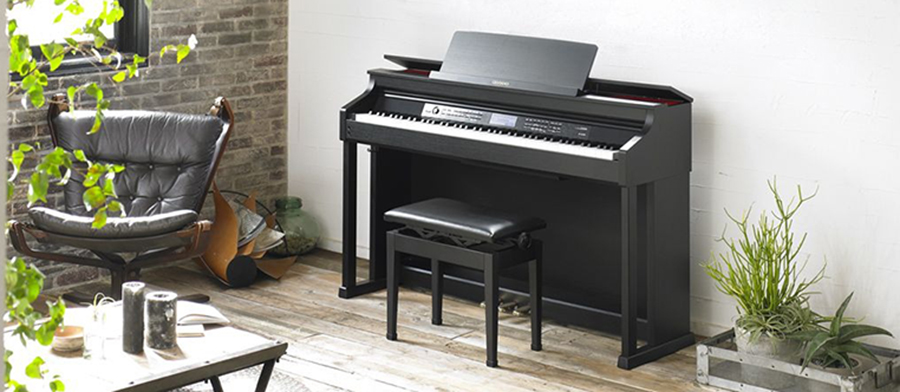 Music City – Tổng Kho Piano, Guitar, Organ | Dịch Vụ Giáo Dục Âm Nhạc