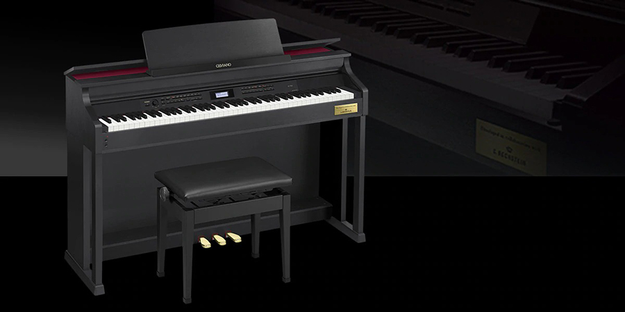 Music City – Tổng Kho Piano, Guitar, Organ | Dịch Vụ Giáo Dục Âm Nhạc