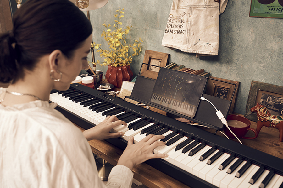 Music City – Tổng Kho Piano, Guitar, Organ | Dịch Vụ Giáo Dục Âm Nhạc