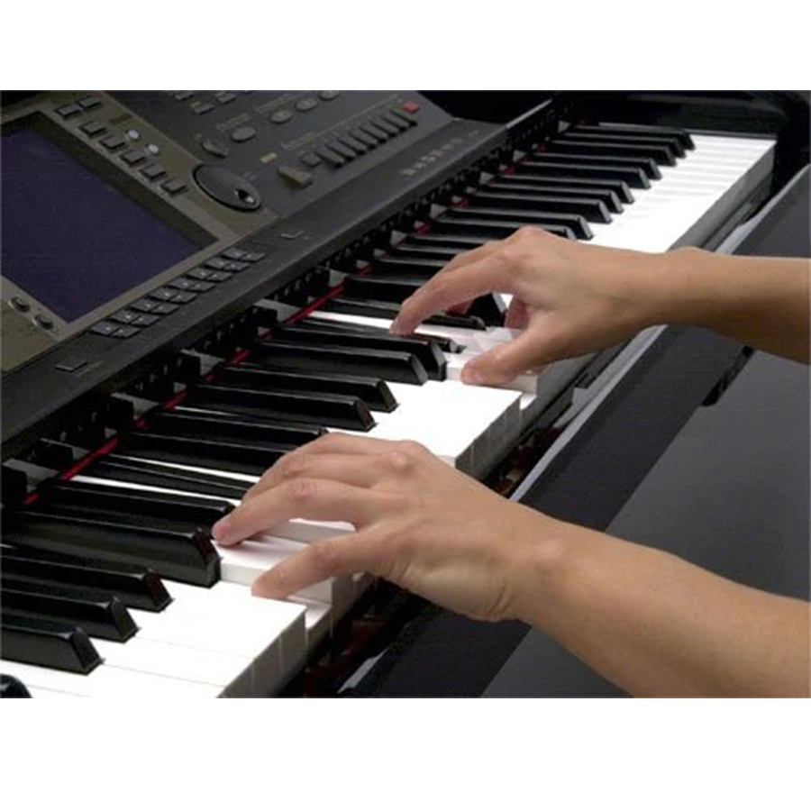 Music City – Tổng Kho Piano, Guitar, Organ | Dịch Vụ Giáo Dục Âm Nhạc