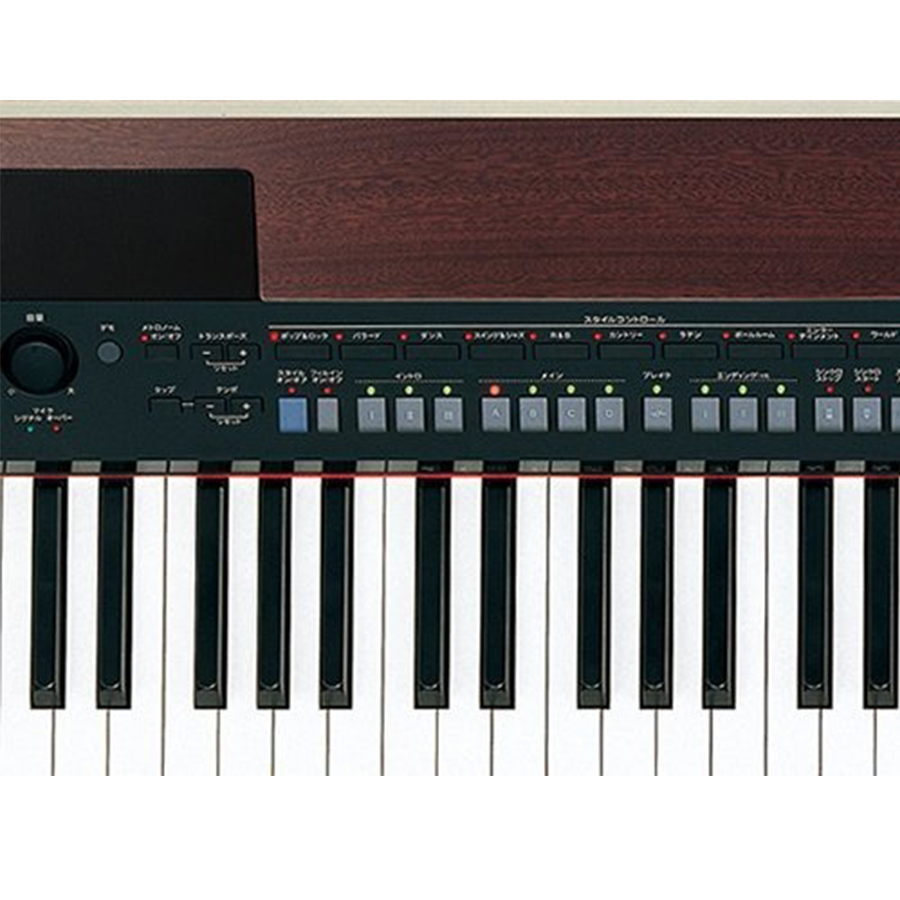 Music City – Tổng Kho Piano, Guitar, Organ | Dịch Vụ Giáo Dục Âm Nhạc