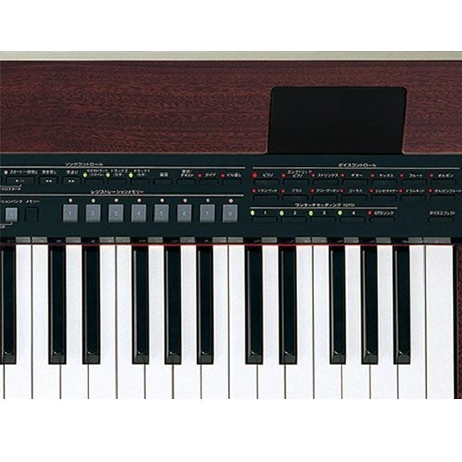 Music City – Tổng Kho Piano, Guitar, Organ | Dịch Vụ Giáo Dục Âm Nhạc