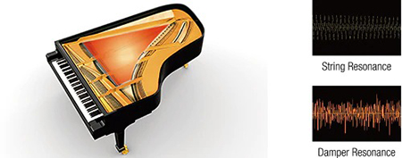 Hình ảnh Đàn Piano Casio GP300 tại Music City