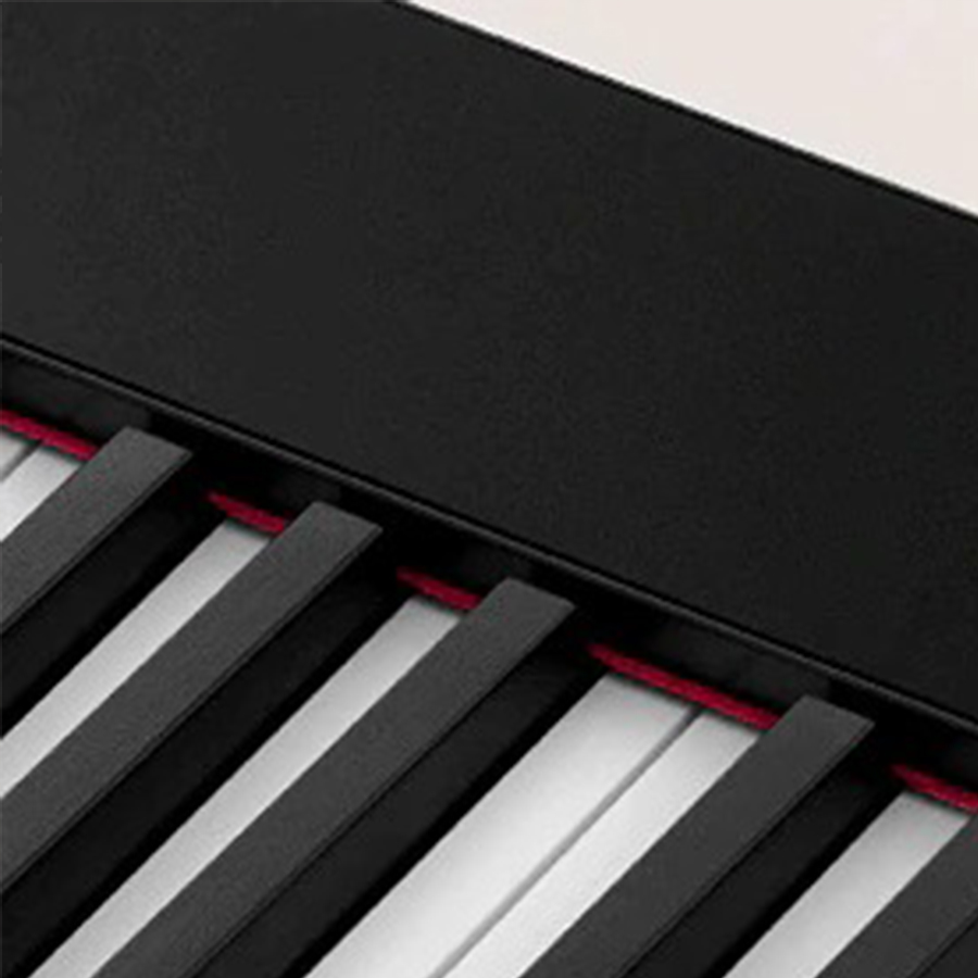 Music City – Tổng Kho Piano, Guitar, Organ | Dịch Vụ Giáo Dục Âm Nhạc