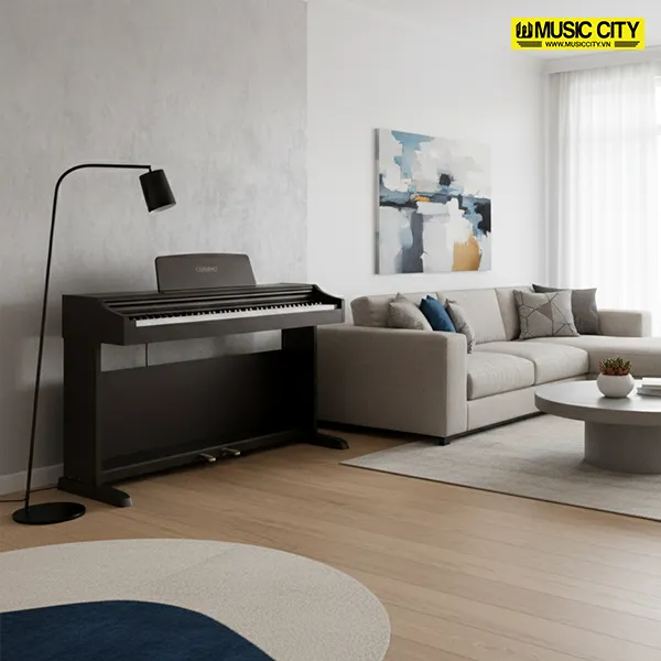 Music City – Tổng Kho Piano, Guitar, Organ | Dịch Vụ Giáo Dục Âm Nhạc