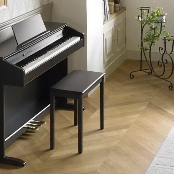 dan-piano-casio-ap260-musiccity