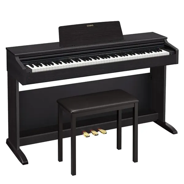Music City – Tổng Kho Piano, Guitar, Organ | Dịch Vụ Giáo Dục Âm Nhạc