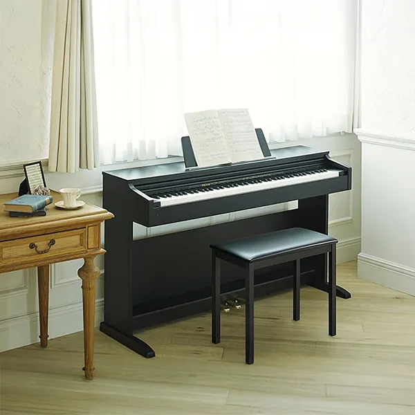 Music City – Tổng Kho Piano, Guitar, Organ | Dịch Vụ Giáo Dục Âm Nhạc