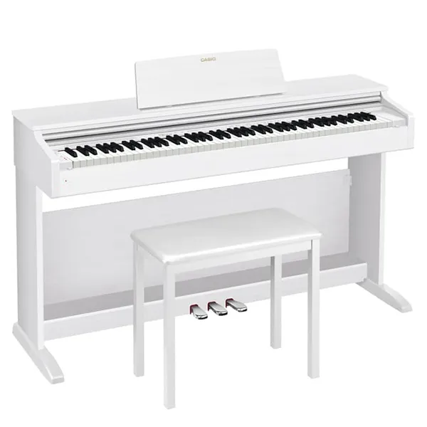 Music City – Tổng Kho Piano, Guitar, Organ | Dịch Vụ Giáo Dục Âm Nhạc