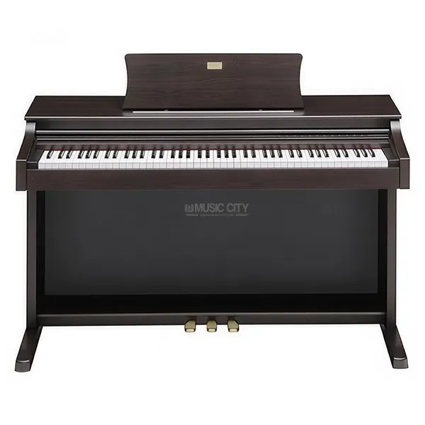 Music City – Tổng Kho Piano, Guitar, Organ | Dịch Vụ Giáo Dục Âm Nhạc