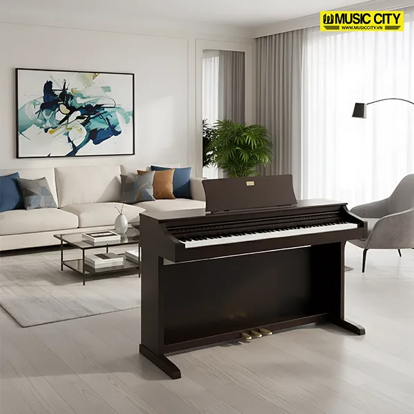 Music City – Tổng Kho Piano, Guitar, Organ | Dịch Vụ Giáo Dục Âm Nhạc