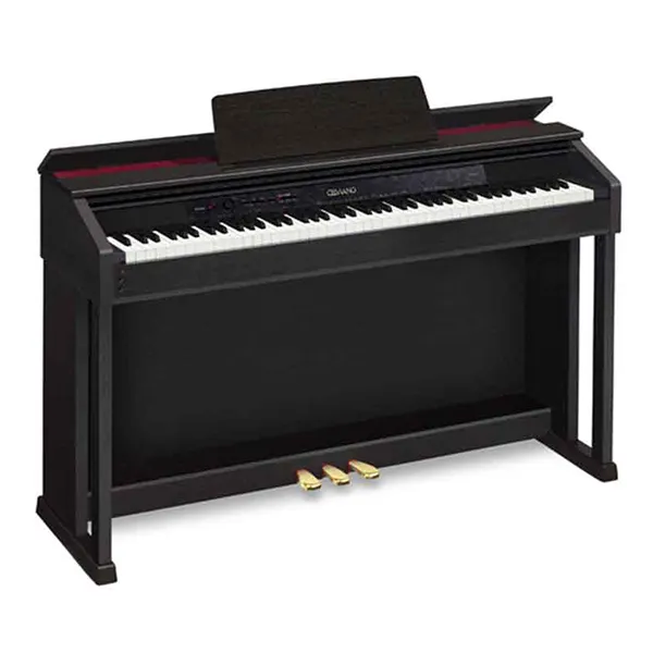 Music City – Tổng Kho Piano, Guitar, Organ | Dịch Vụ Giáo Dục Âm Nhạc